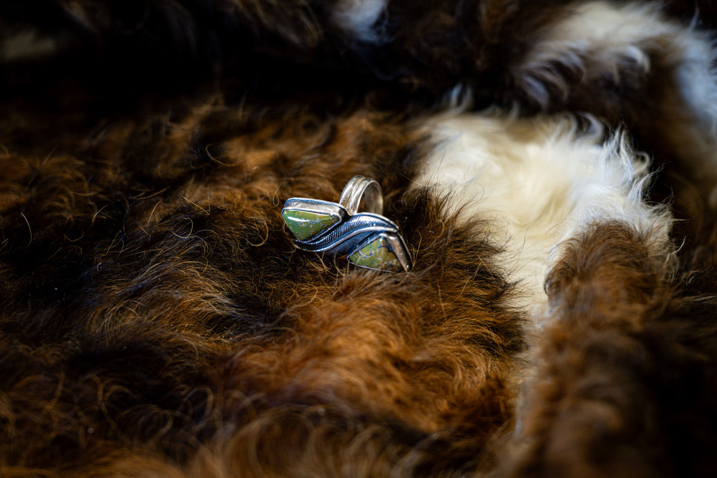 Two stone ring
