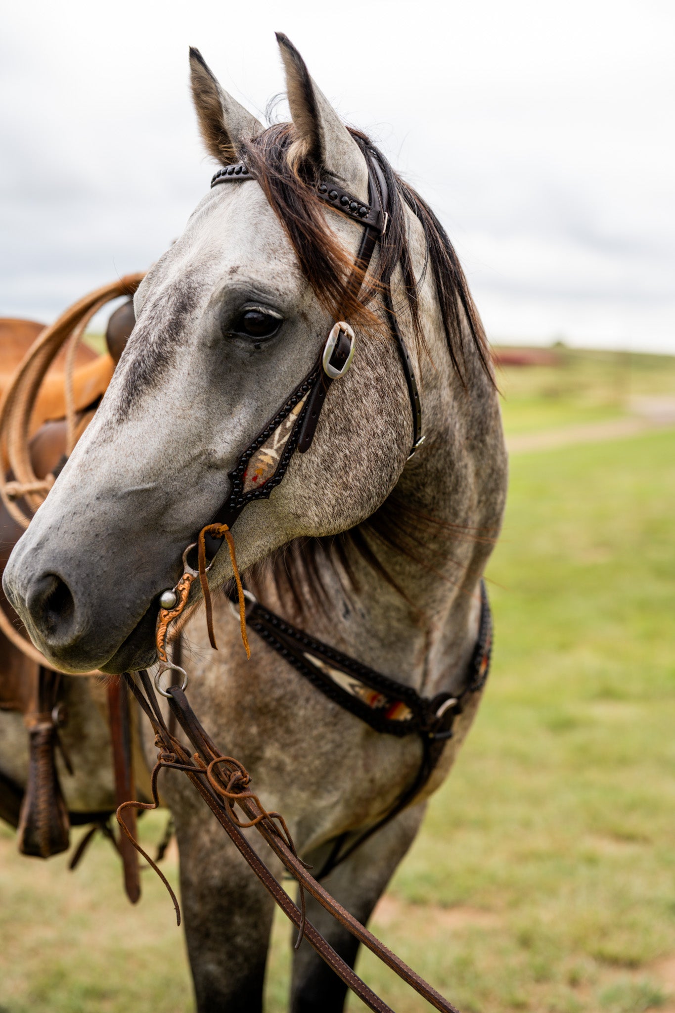 Rush Creek Tack Set