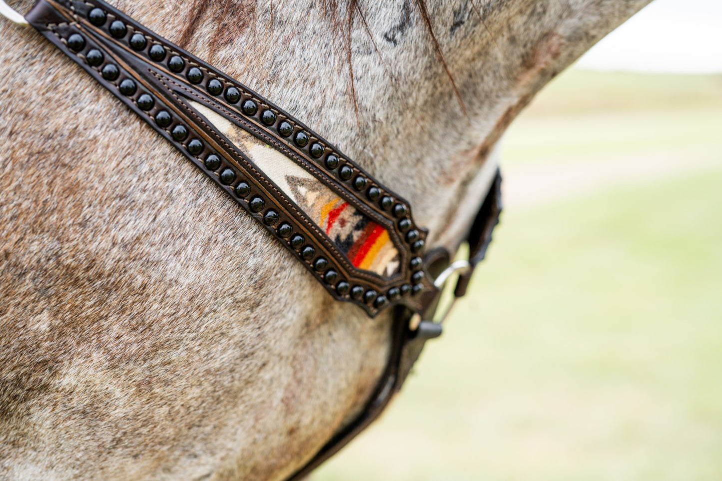 Rush Creek Tack Set