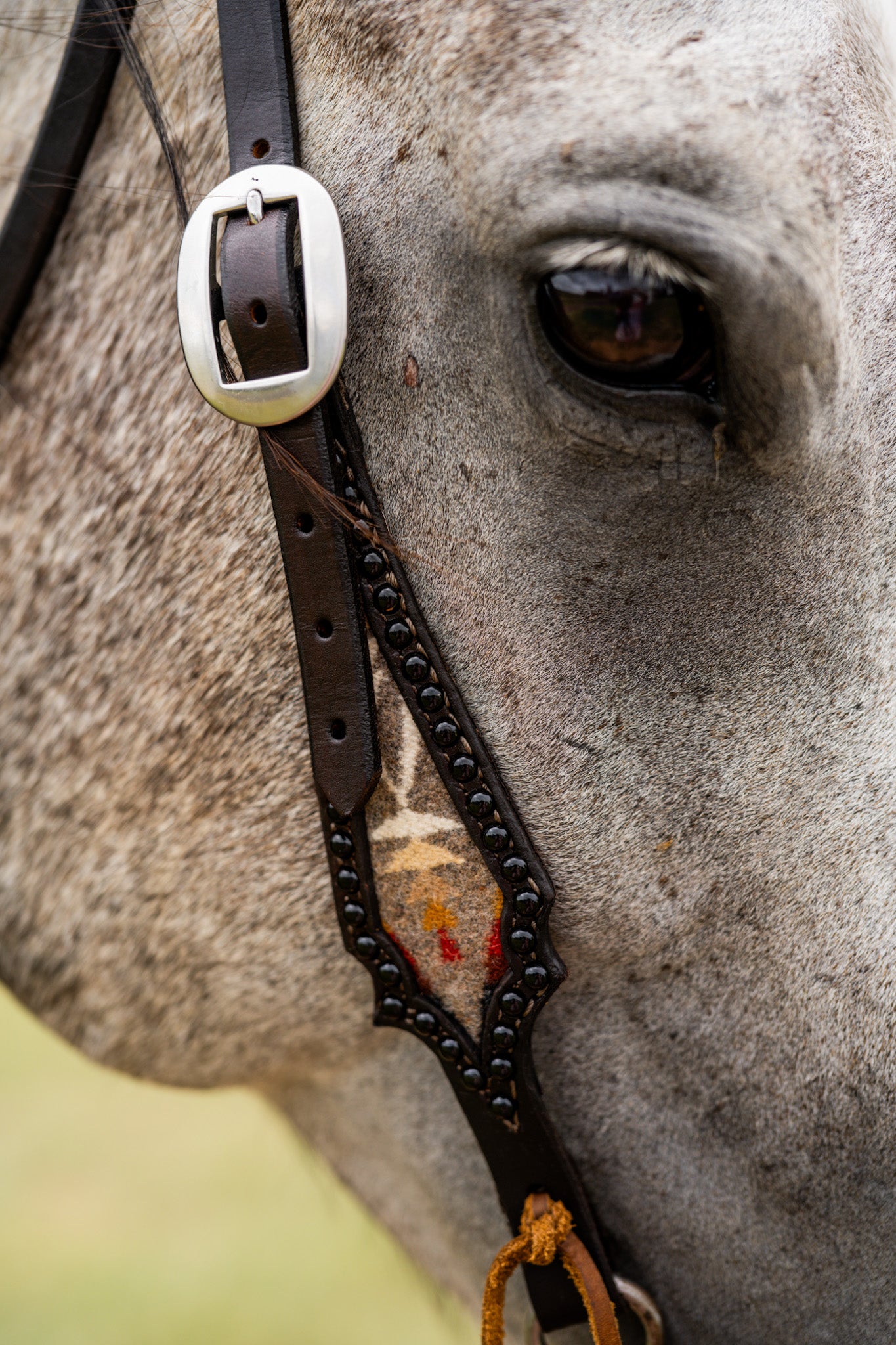 Rush Creek Tack Set