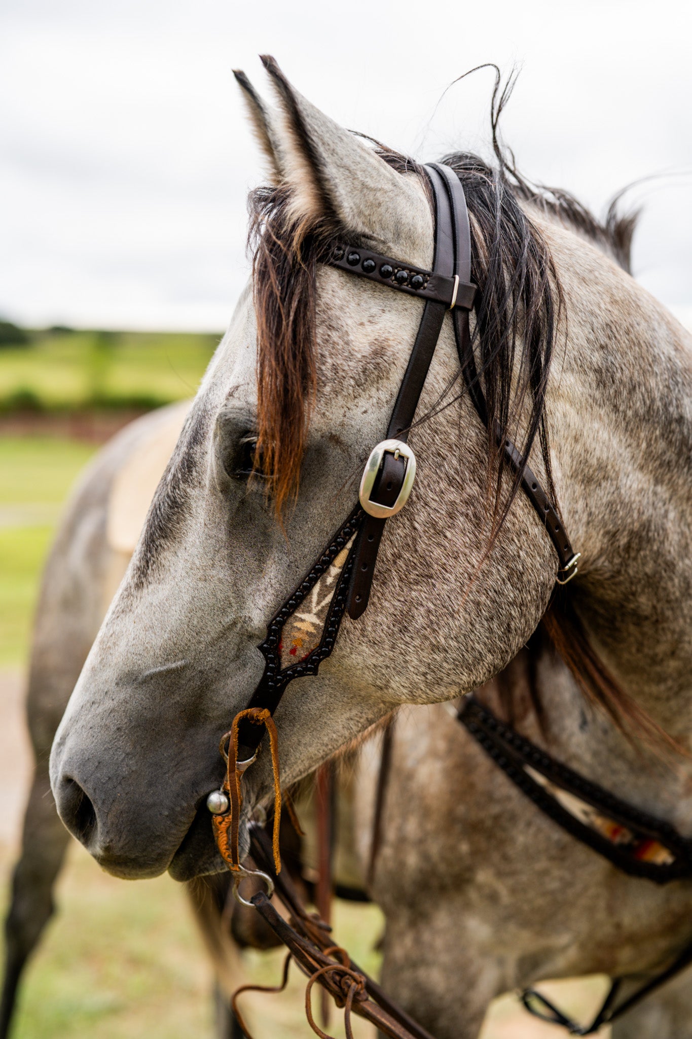 Rush Creek Tack Set