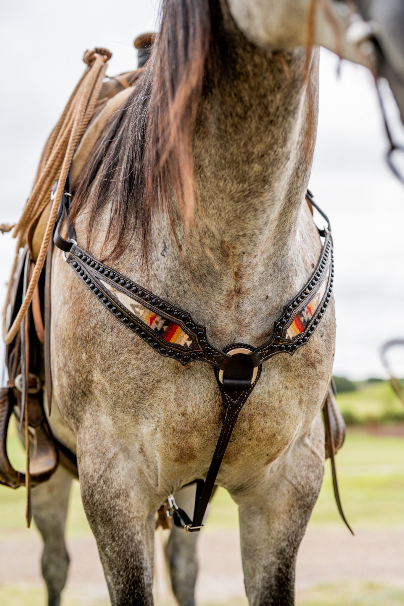 Rush Creek Tack Set