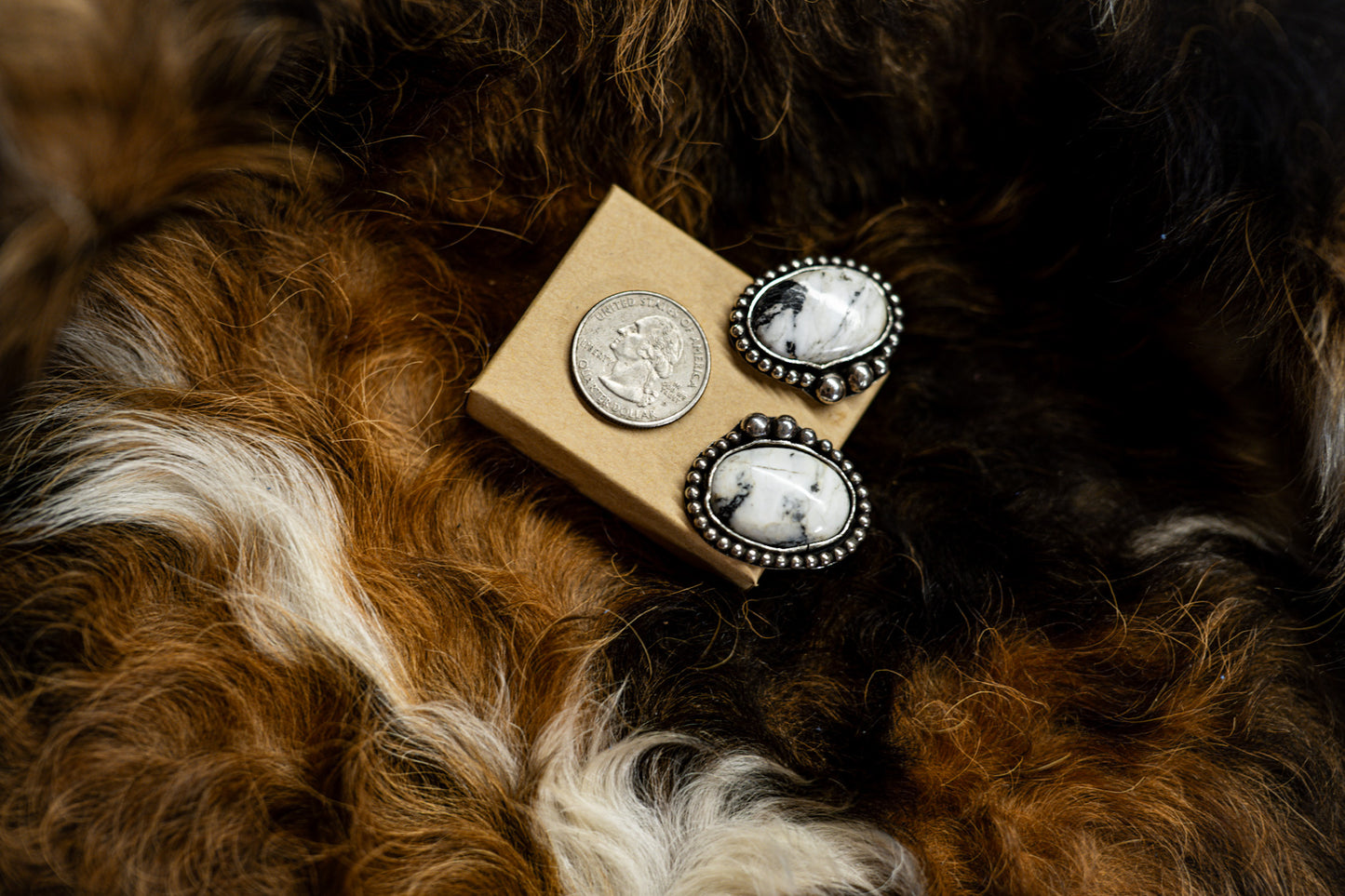 White Buffalo studs