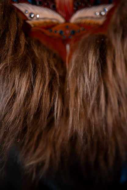 Icelandic Sheep Sussie