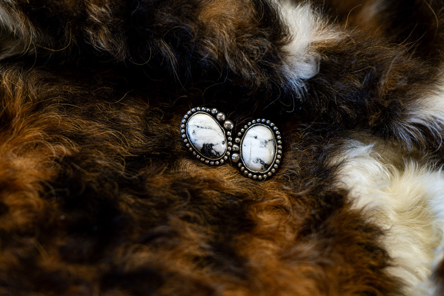 White Buffalo studs