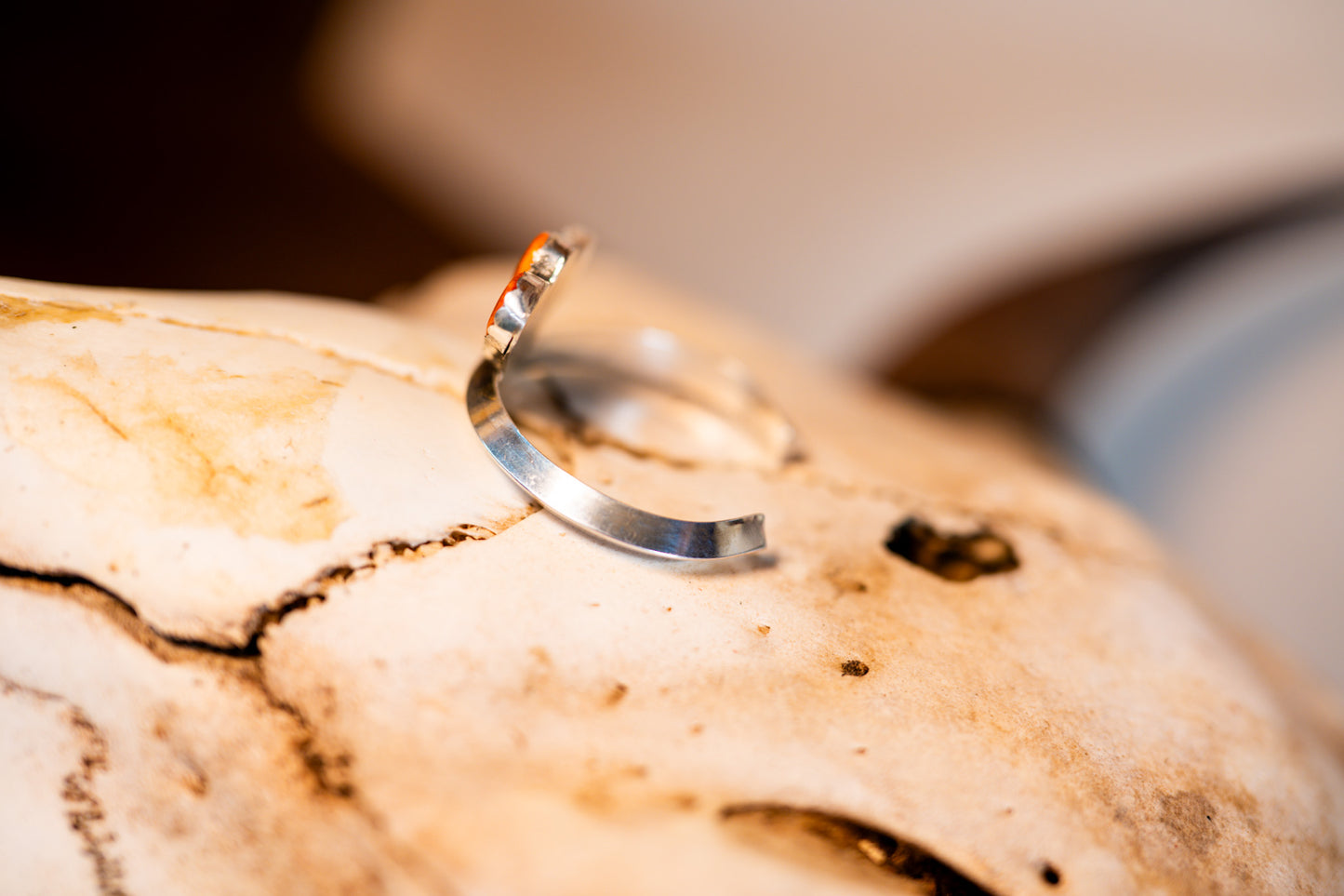 Spiny Oyster Cuff