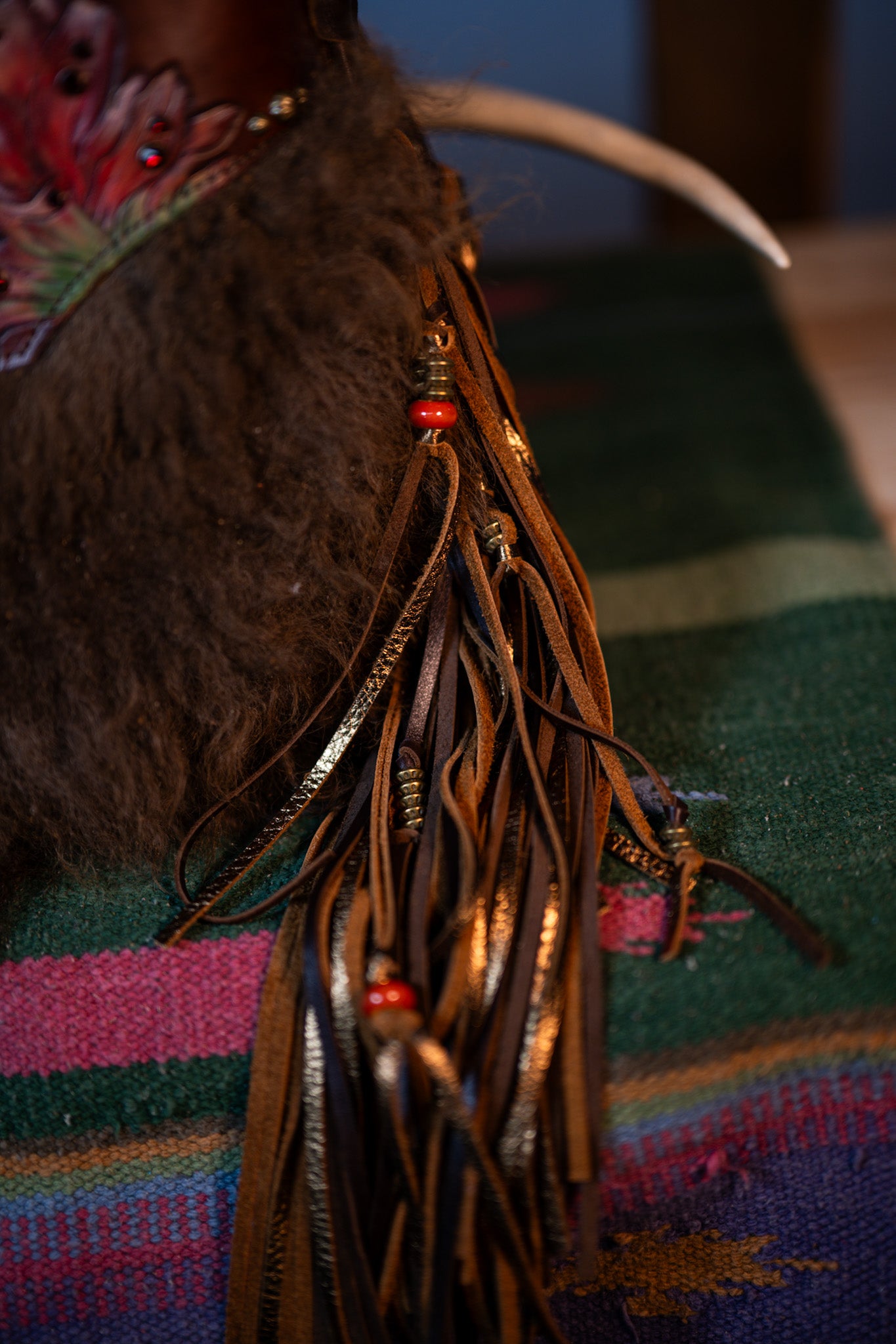 Bison modified Santa Fe