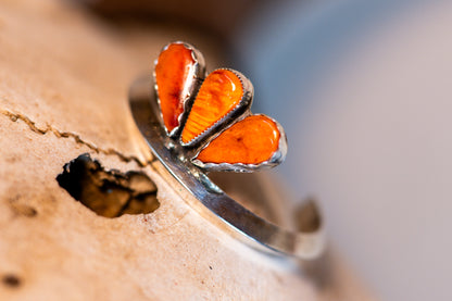 Spiny Oyster Cuff