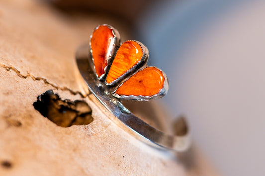 Spiny Oyster Cuff